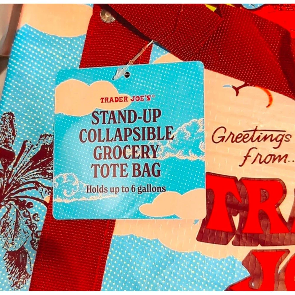 LOT OF 2 TRADER JOE'S STAND UP REUSABLE BAGS COLLAPSIBLE LMTD ED for 2! FreeGift